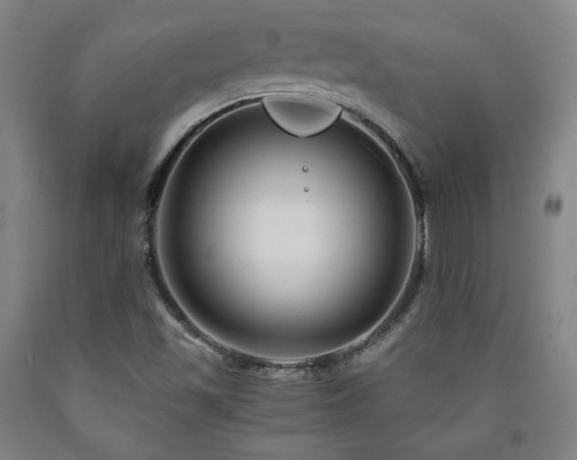 X0000090921501200707301522