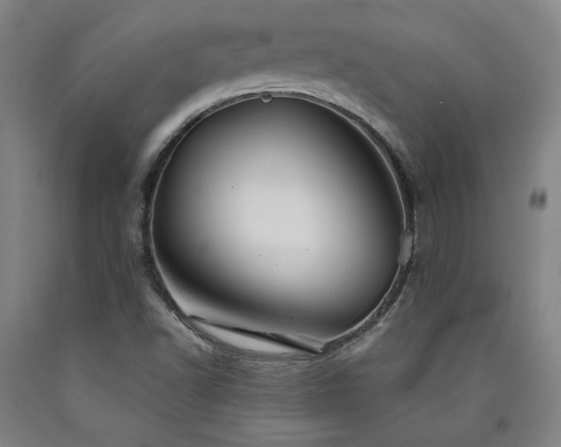 X0000090921502200707301522