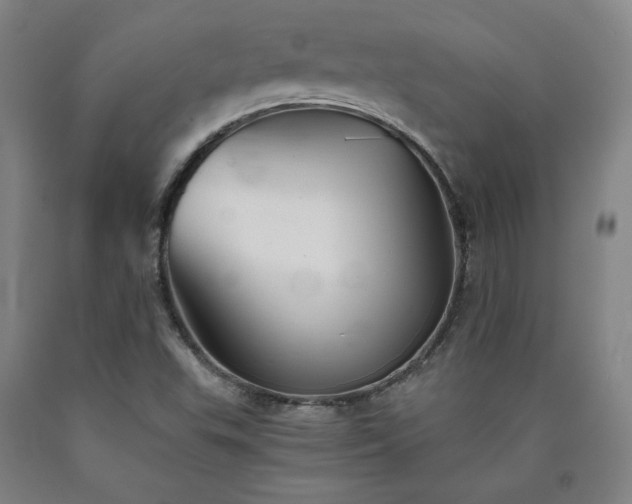 X0000090921503200707301522
