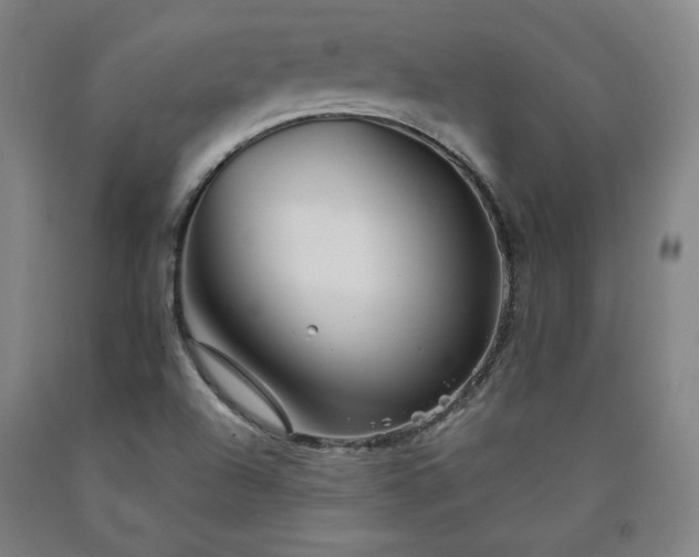 X0000090921504200707301522
