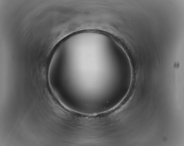 X0000090921505200707301522