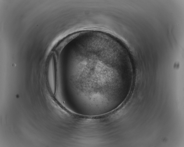 X0000090921506200707301522