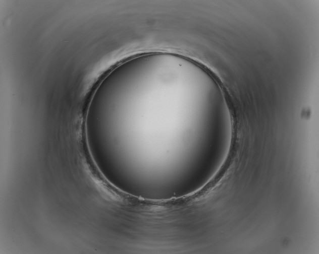 X0000090921507200707301522