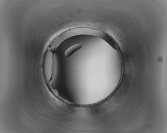 X0000090921508200707301522
