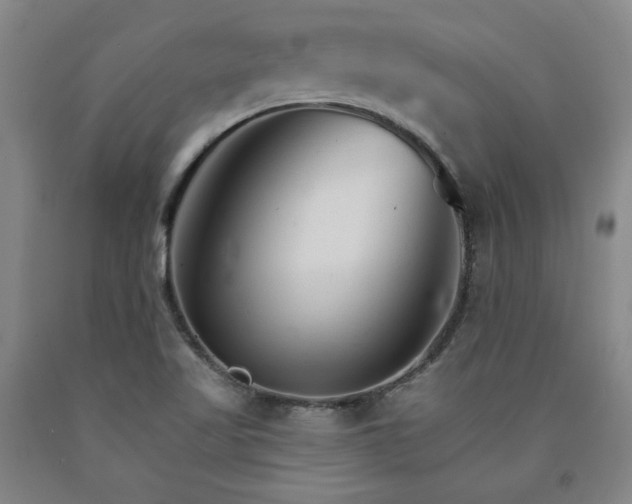 X0000090921509200707301522