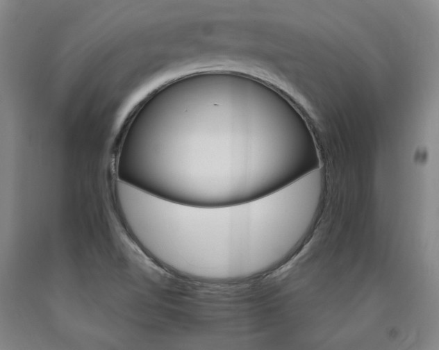 X0000090921510200707301522