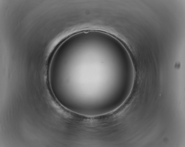 X0000090921511200707301522