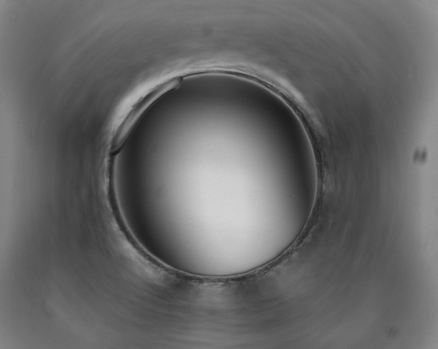 X0000090921512200707301522