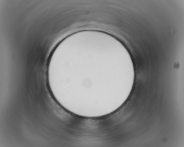 X0000090921514200707301522