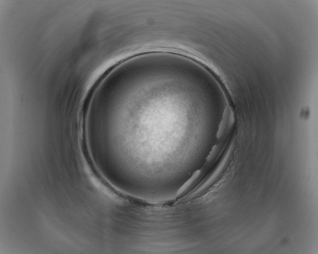 X0000090921515200707301522