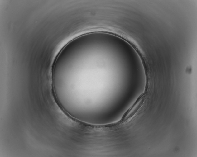 X0000090921516200707301522