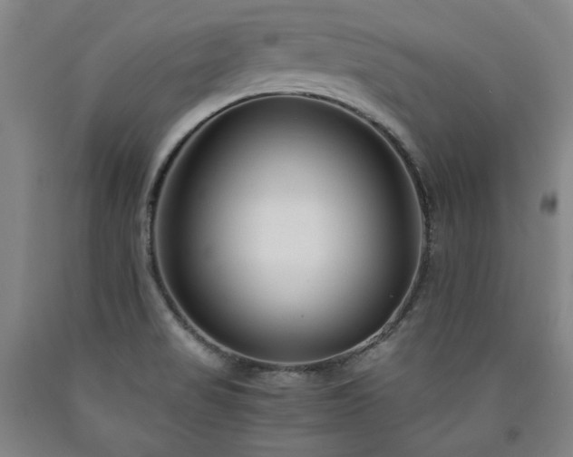 X0000090921517200707301522