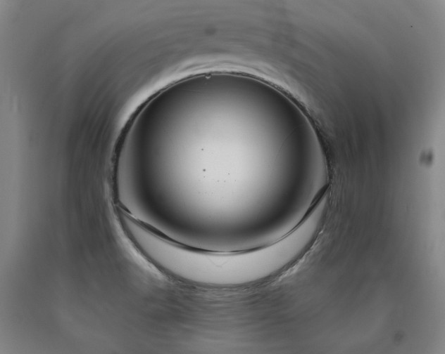 X0000090921518200707301522