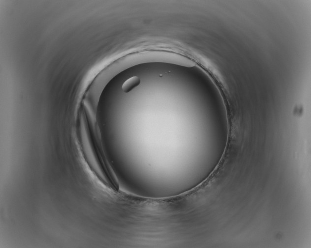 X0000090921520200707301522