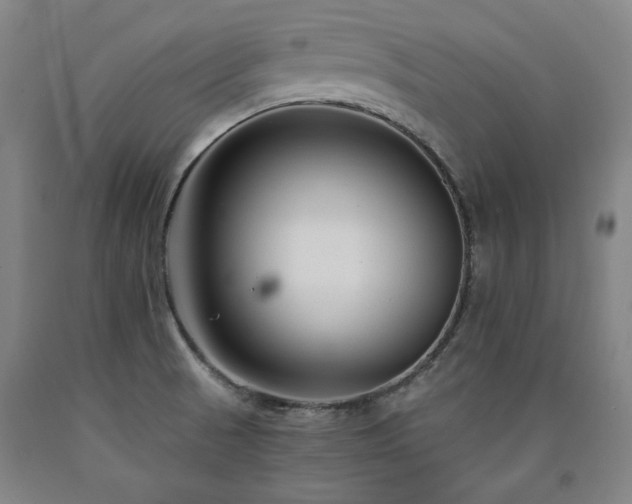 X0000090921521200707301522