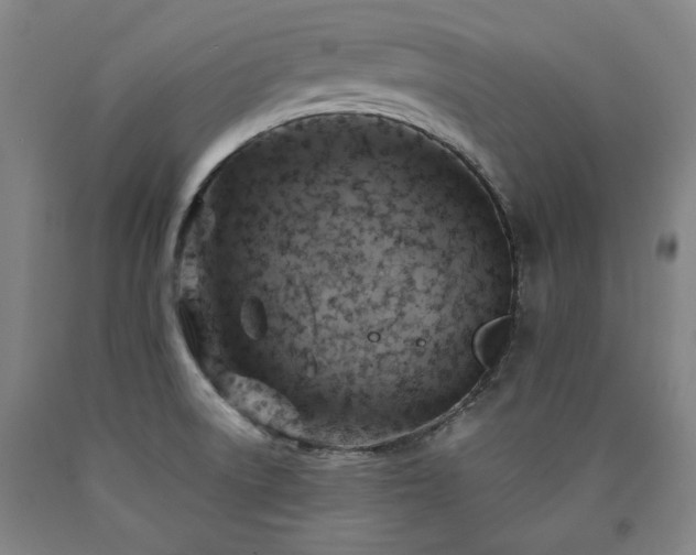 X0000090921522200707301522