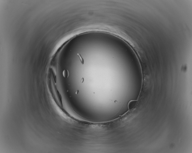 X0000090921523200707301522