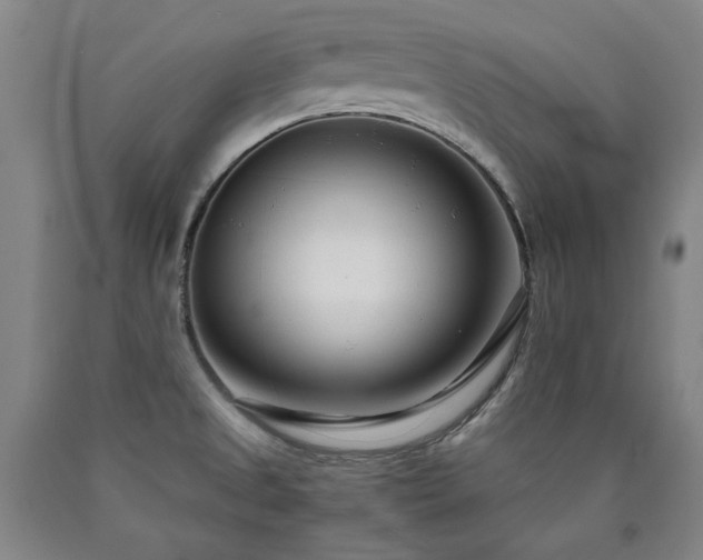 X0000090921525200707301522