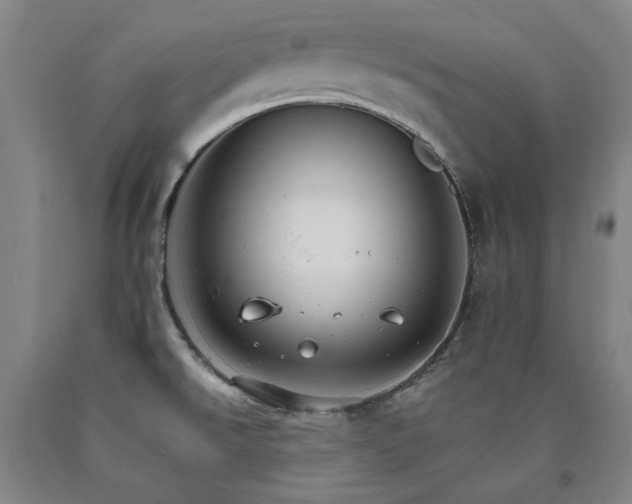 X0000090921526200707301522