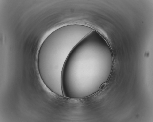 X0000090921528200707301522
