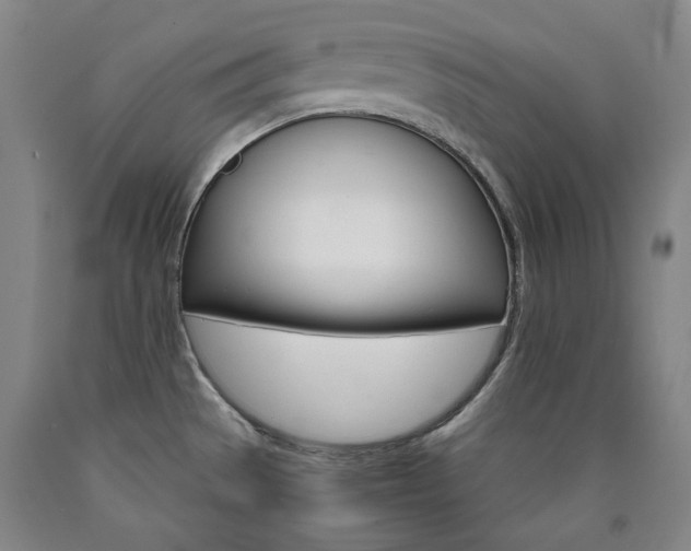 X0000090921529200707301522