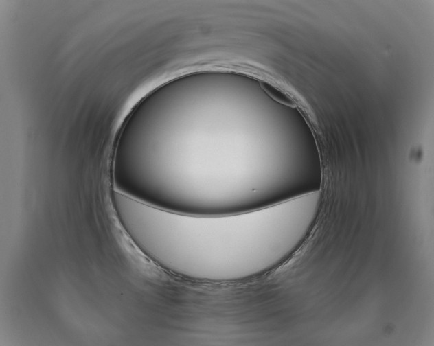 X0000090921530200707301522