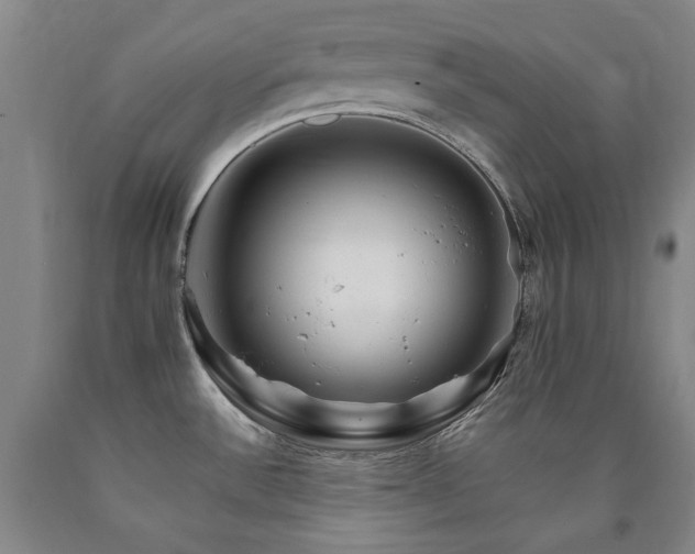 X0000090921532200707301522
