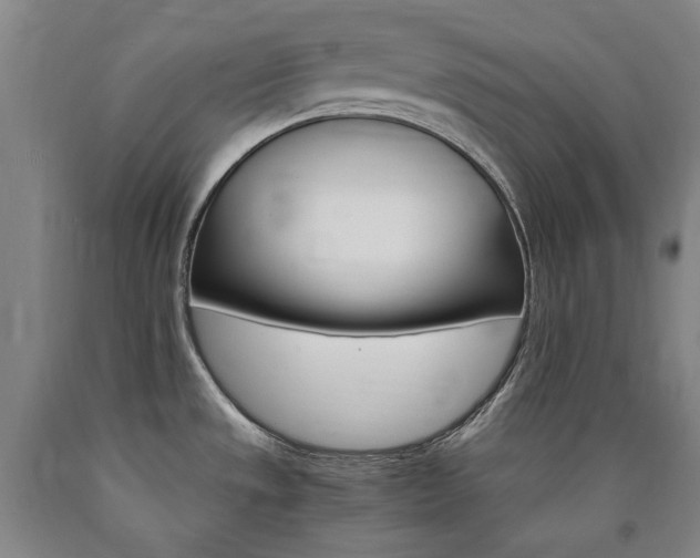 X0000090921533200707301522