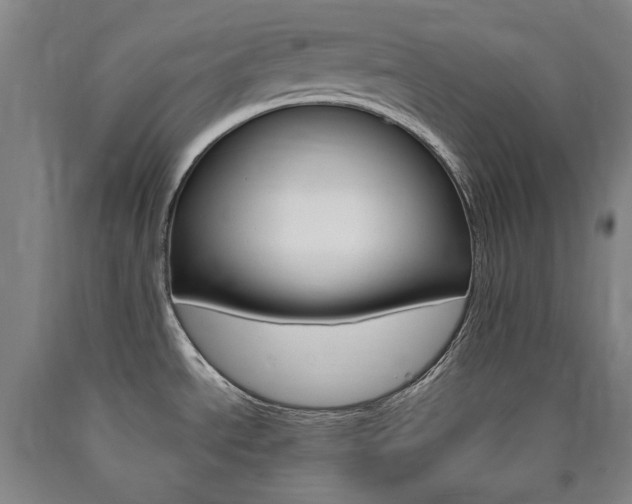 X0000090921534200707301522