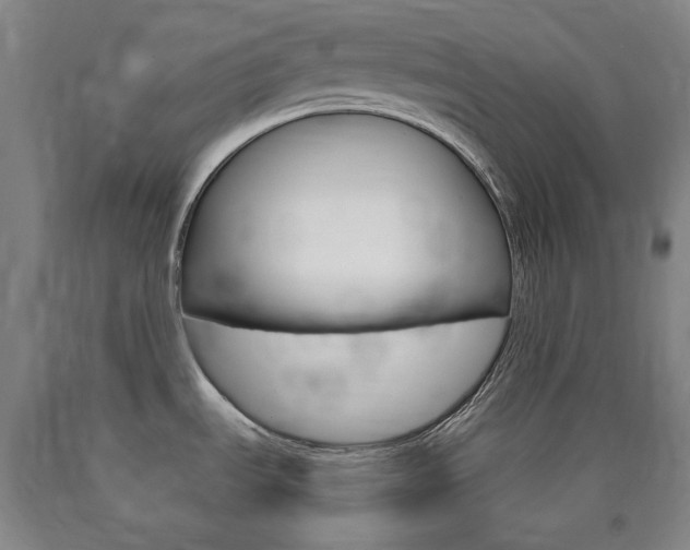 X0000090921535200707301522