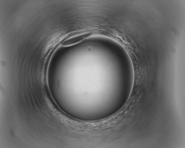 X0000090920002200708061552