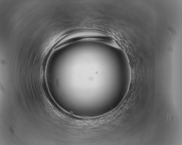 X0000090920005200708061552