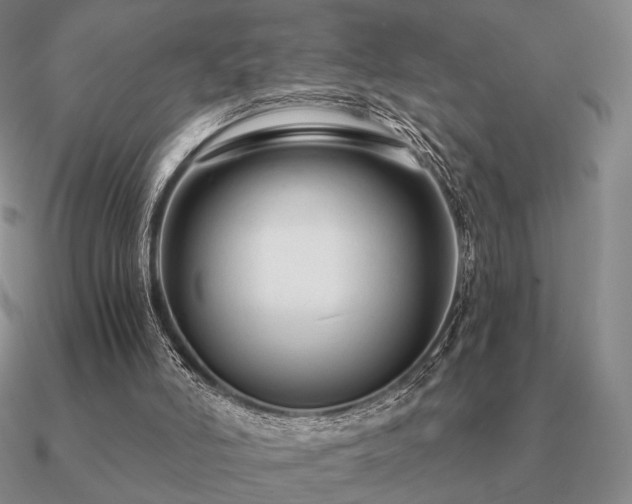 X0000090920006200708061552