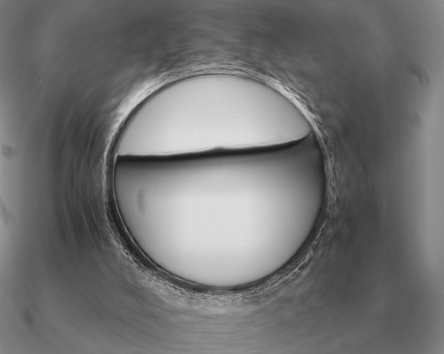 X0000090920008200708061552