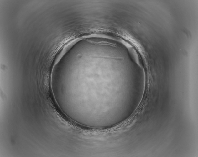 X0000090920009200708061552