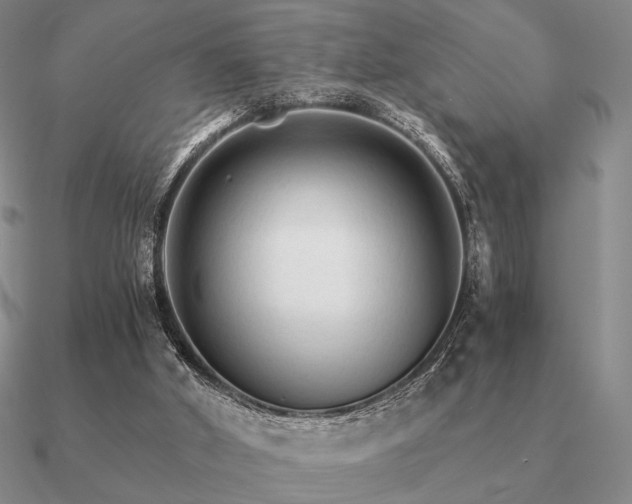 X0000090920010200708061552