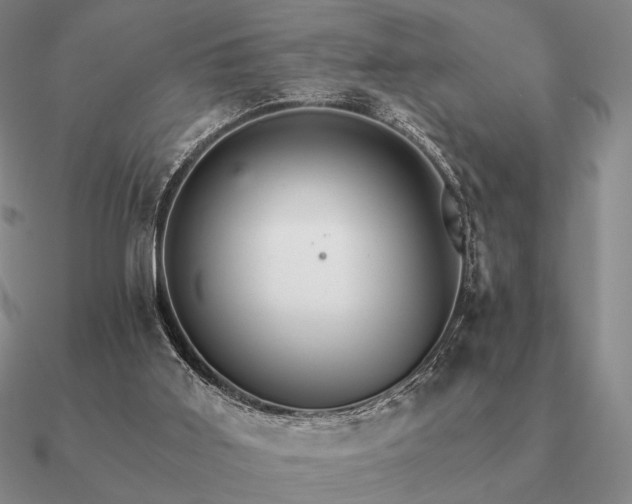 X0000090920011200708061552