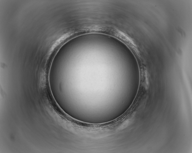 X0000090920012200708061552