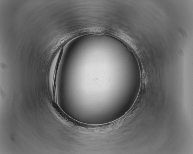 X0000090920013200708061552