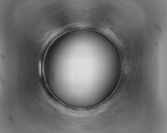 X0000090920014200708061552