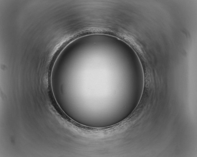 X0000090920015200708061552