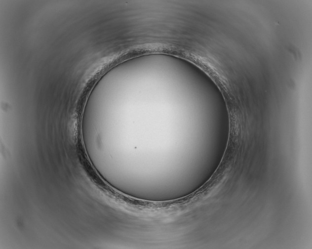 X0000090920016200708061552