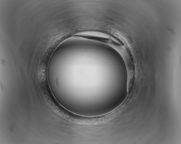 X0000090920017200708061552