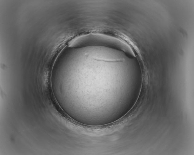 X0000090920018200708061552