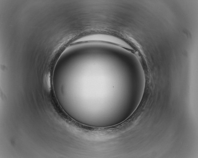 X0000090920020200708061552