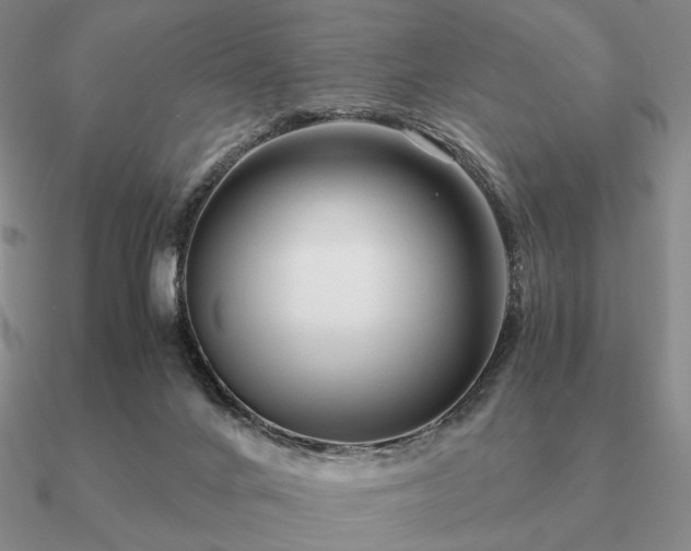 X0000090920024200708061552