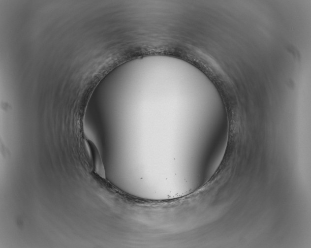 X0000090920025200708061552