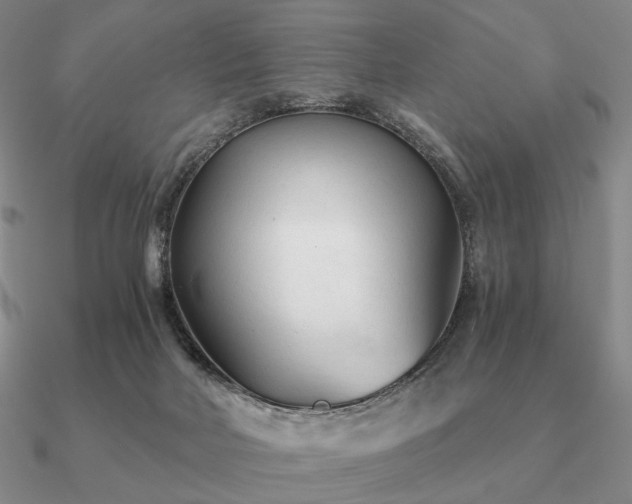 X0000090920026200708061552