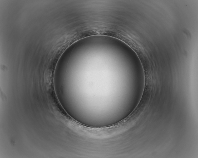 X0000090920030200708061552