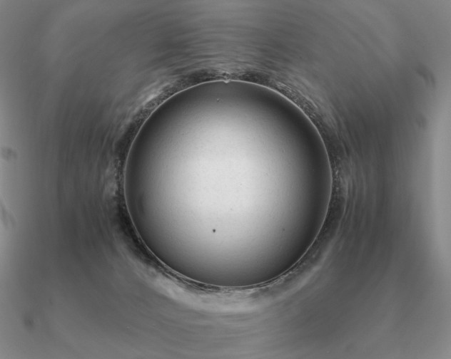 X0000090920032200708061552